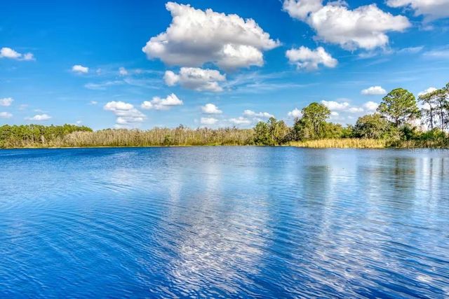 903 GRAN BAHAMA BOULEVARD 903, Davenport, FL 33897