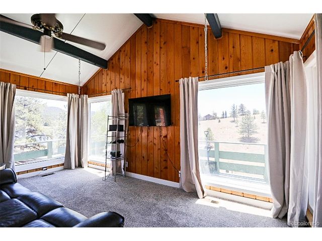 731 Midland Ct, Lake George, CO 80827
