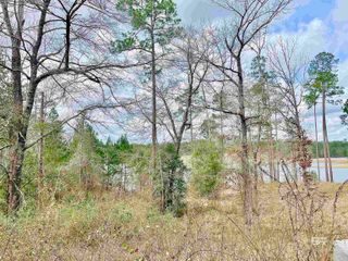 0 Lake Juniper Road, Brewton, AL 36426