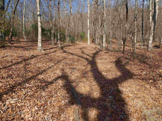 Lot 77 Serpentine Drive, Columbus, NC 28722