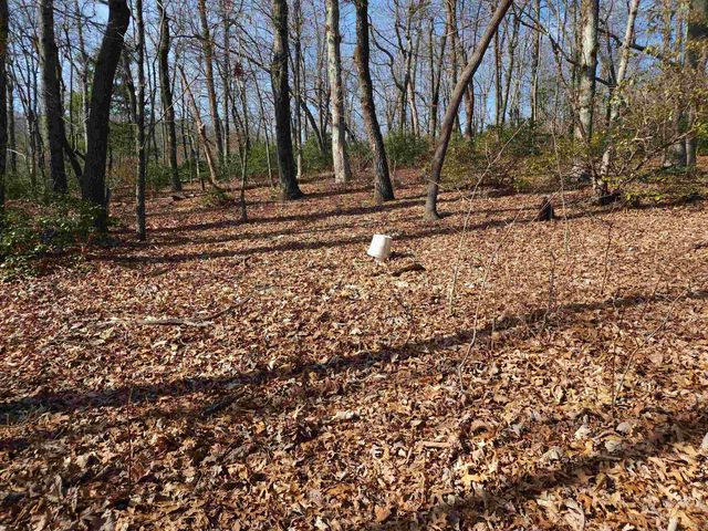 Lot 77 Serpentine Drive, Columbus, NC 28722
