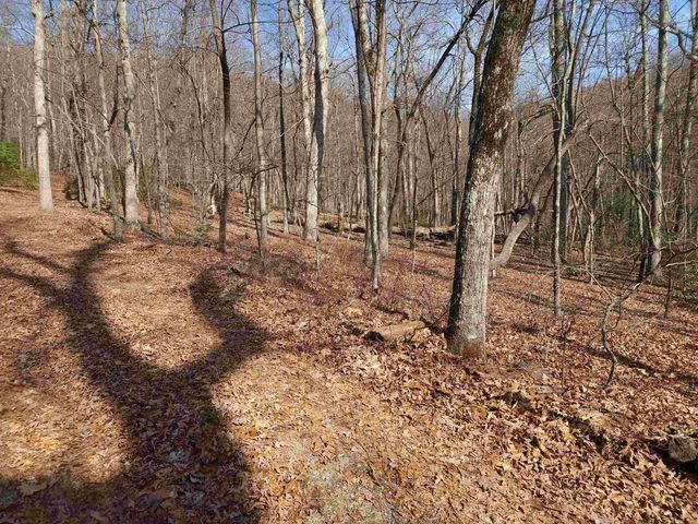 Lot 77 Serpentine Drive, Columbus, NC 28722