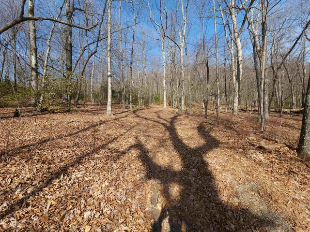 Lot 77 Serpentine Drive, Columbus, NC 28722