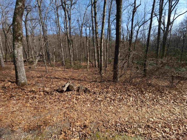 Lot 77 Serpentine Drive, Columbus, NC 28722