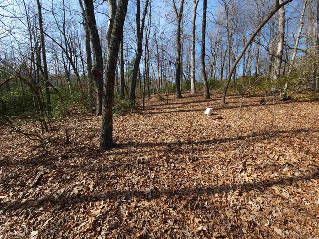 Lot 77 Serpentine Drive, Columbus, NC 28722