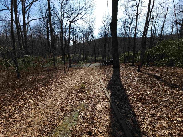 Lot 77 Serpentine Drive, Columbus, NC 28722
