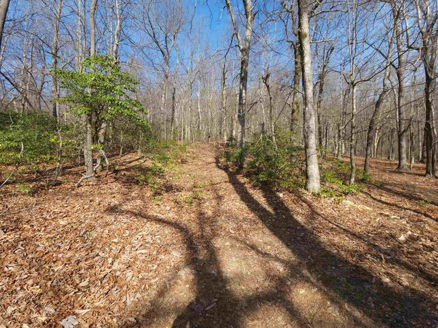 Lot 77 Serpentine Drive, Columbus, NC 28722