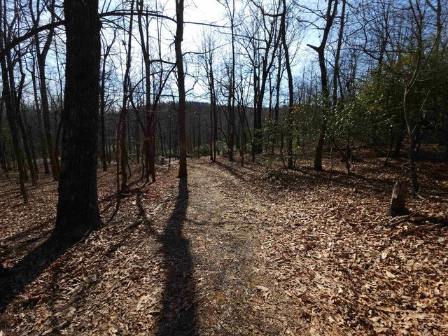 Lot 77 Serpentine Drive, Columbus, NC 28722