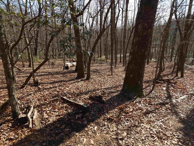 Lot 77 Serpentine Drive, Columbus, NC 28722