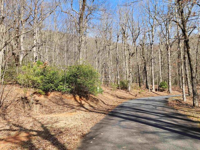 Lot 77 Serpentine Drive, Columbus, NC 28722