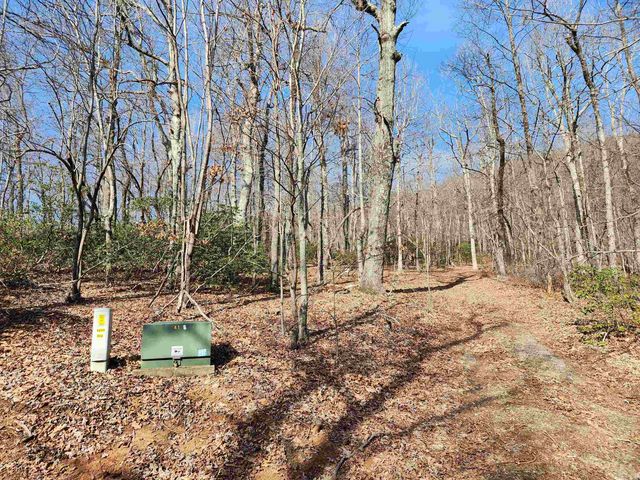 Lot 77 Serpentine Drive, Columbus, NC 28722