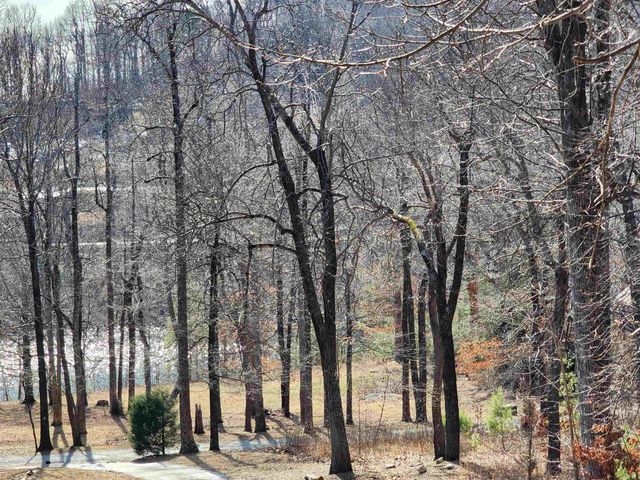 Lot 77 Serpentine Drive, Columbus, NC 28722