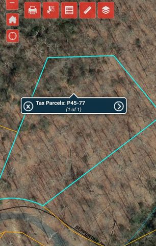 Lot 77 Serpentine Drive, Columbus, NC 28722