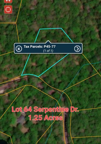 Lot 77 Serpentine Drive, Columbus, NC 28722