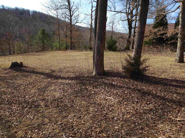 Lot 77 Serpentine Drive, Columbus, NC 28722