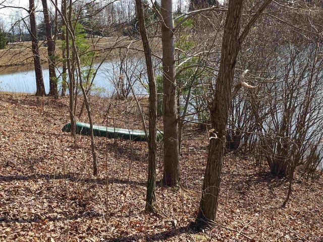 Lot 77 Serpentine Drive, Columbus, NC 28722