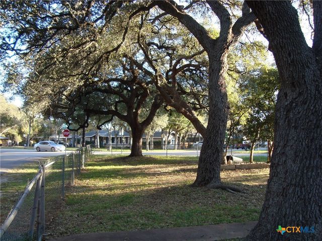 221 Woodland Avenue, New Braunfels, TX 78130