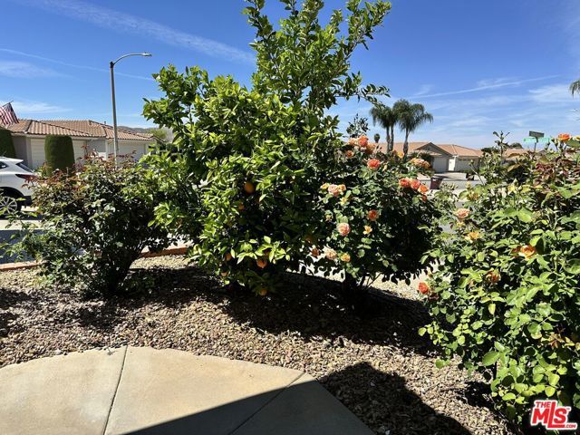 27497 Camino Vacuna, Menifee, CA 92585