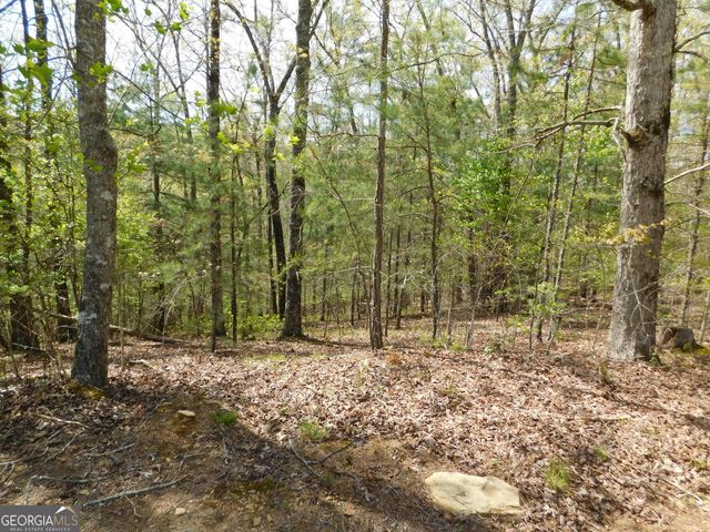 0 Dallas Lane, Blue Ridge, GA 30513