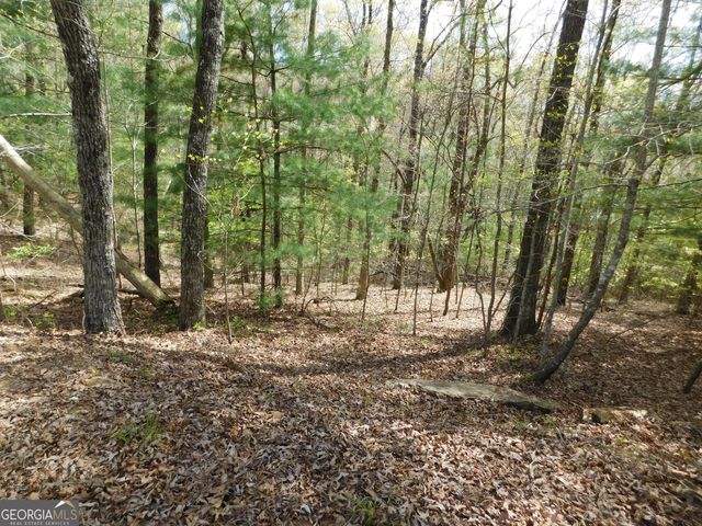 0 Dallas Lane, Blue Ridge, GA 30513