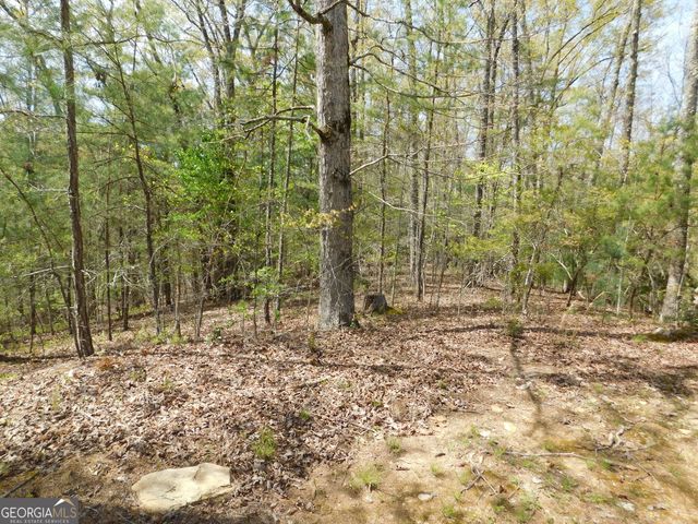 0 Dallas Lane, Blue Ridge, GA 30513
