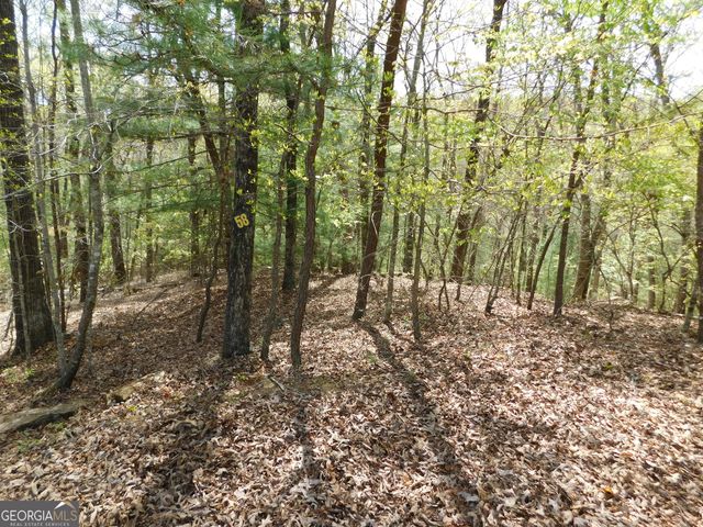 0 Dallas Lane, Blue Ridge, GA 30513