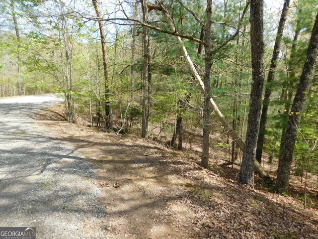 0 Dallas Lane, Blue Ridge, GA 30513