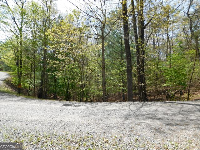 0 Dallas Lane, Blue Ridge, GA 30513