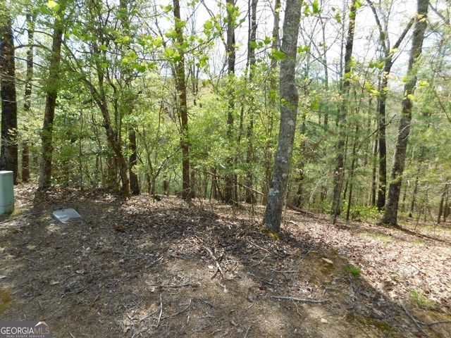 0 Dallas Lane, Blue Ridge, GA 30513