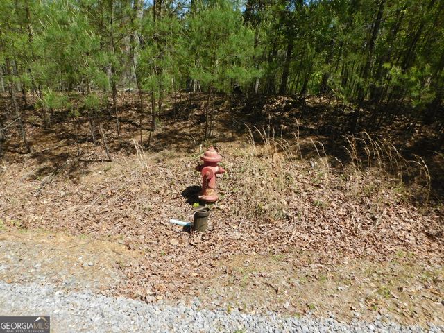 0 Dallas Lane, Blue Ridge, GA 30513