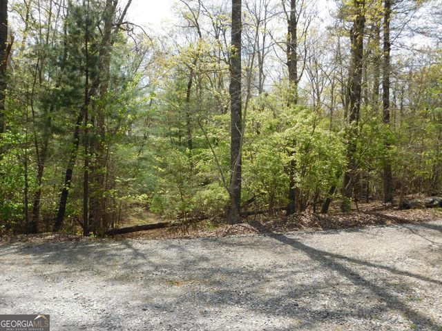 0 Dallas Lane, Blue Ridge, GA 30513