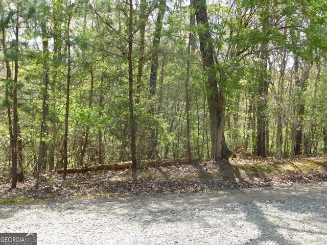 0 Dallas Lane, Blue Ridge, GA 30513