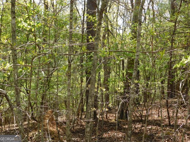 0 Dallas Lane, Blue Ridge, GA 30513