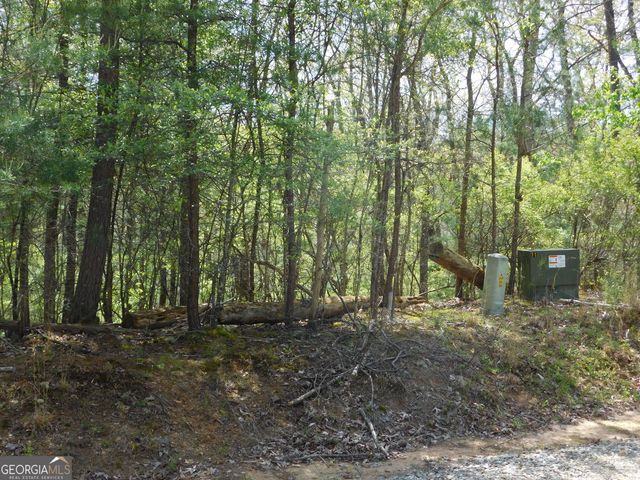 0 Dallas Lane, Blue Ridge, GA 30513