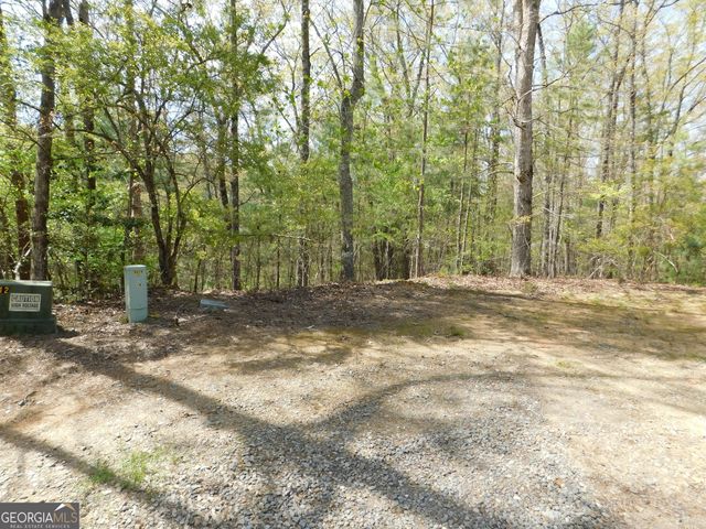 0 Dallas Lane, Blue Ridge, GA 30513