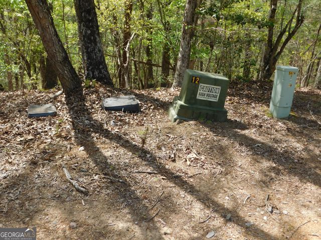0 Dallas Lane, Blue Ridge, GA 30513