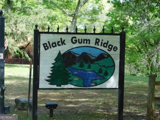 0 Dallas Lane, Blue Ridge, GA 30513