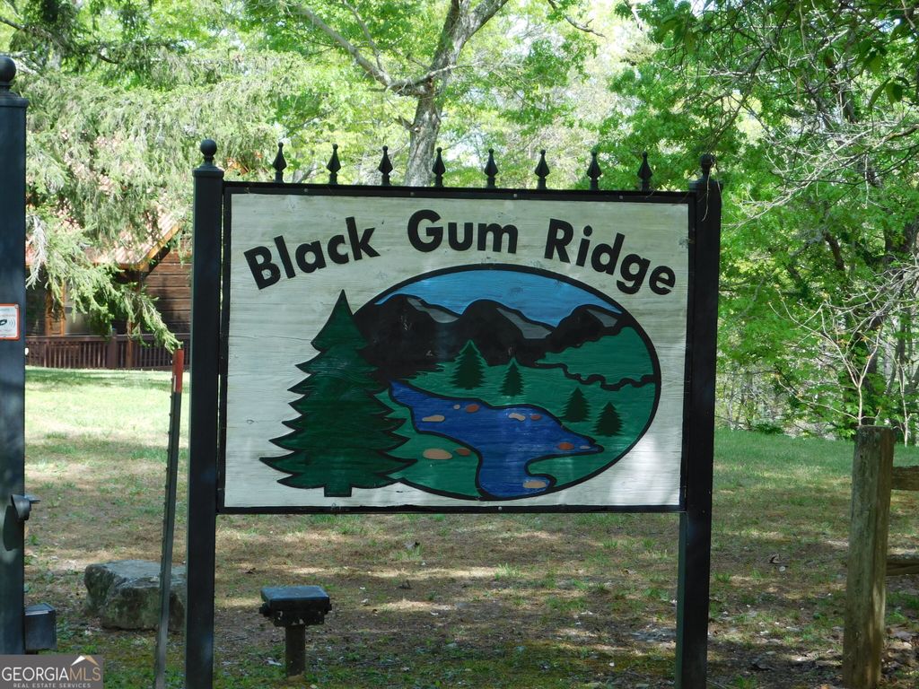 0 Dallas Lane, Blue Ridge, GA 30513