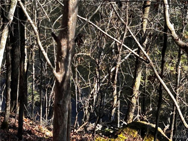 1755 Lake Haven, Tuscaloosa, AL 35406