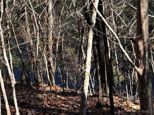 1755 Lake Haven, Tuscaloosa, AL 35406