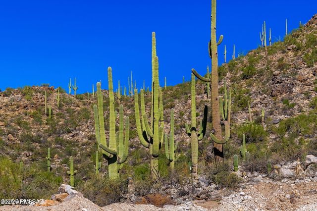 14124 N TORTOLITA ESTATES Drive -, Tucson, AZ 85755