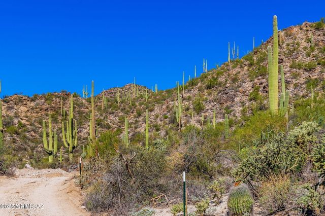 14124 N TORTOLITA ESTATES Drive -, Tucson, AZ 85755