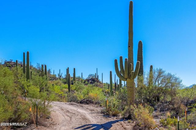 14124 N TORTOLITA ESTATES Drive -, Tucson, AZ 85755