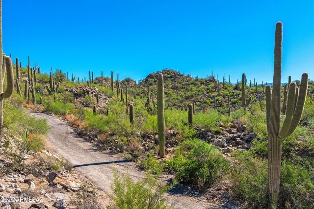 14124 N TORTOLITA ESTATES Drive -, Tucson, AZ 85755