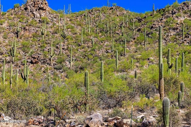 14124 N TORTOLITA ESTATES Drive -, Tucson, AZ 85755