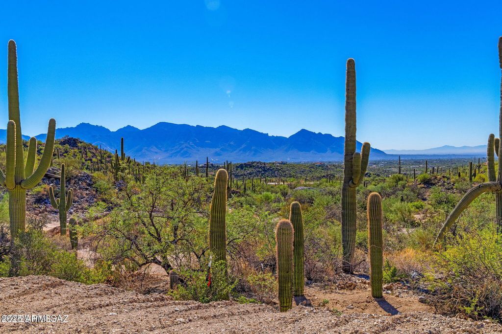 14124 N TORTOLITA ESTATES Drive -, Tucson, AZ 85755