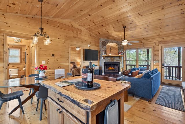 122 N Moreland Drive, Cherry Log, GA 30522