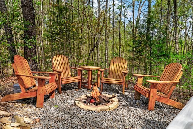 122 N Moreland Drive, Cherry Log, GA 30522
