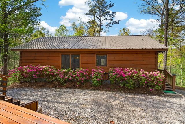 122 N Moreland Drive, Cherry Log, GA 30522