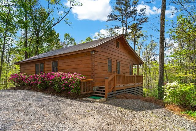 122 N Moreland Drive, Cherry Log, GA 30522